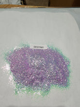 Load image into Gallery viewer, Destiny 1/64