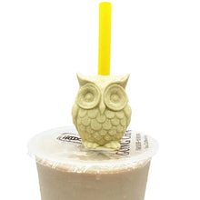 Load image into Gallery viewer, Owl