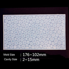 Load image into Gallery viewer, Large Cell
