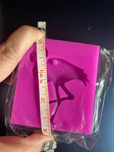 Load image into Gallery viewer, Flamingo