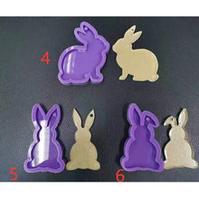 Load image into Gallery viewer, Bunny Rabbit