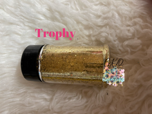 Load image into Gallery viewer, Trophy