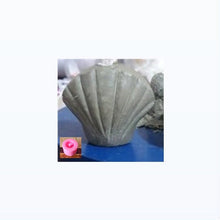 Load image into Gallery viewer, Seashell
